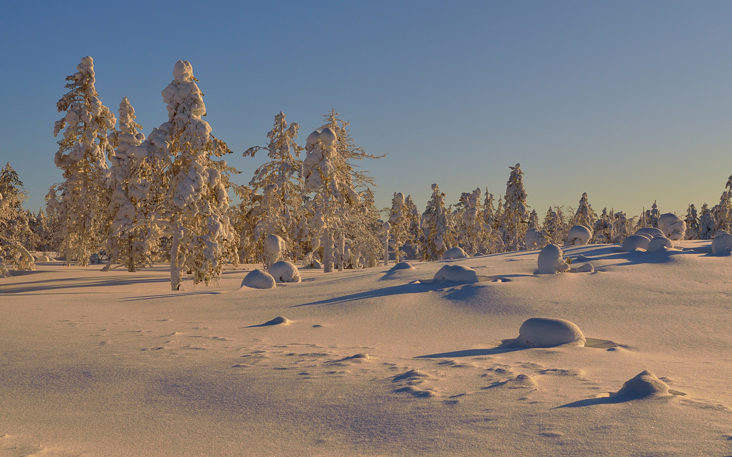 Screenshot №1 pro téma Thaw in Winter Morning 1440x900