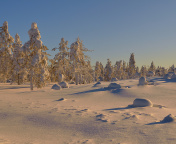 Thaw in Winter Morning screenshot #1 176x144