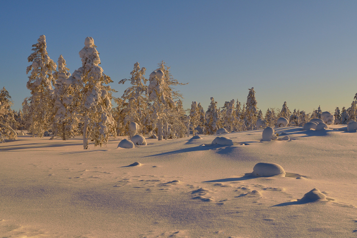 Screenshot №1 pro téma Thaw in Winter Morning