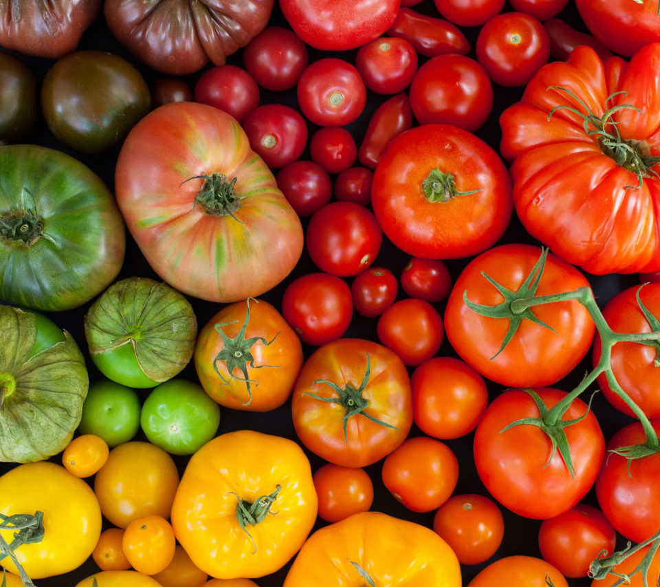 Sfondi Tomatoes 960x854