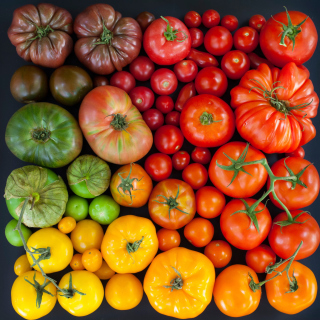 Kostenloses Tomatoes Wallpaper für iPad
