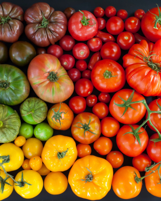 Tomatoes - Obrázkek zdarma pro 132x176