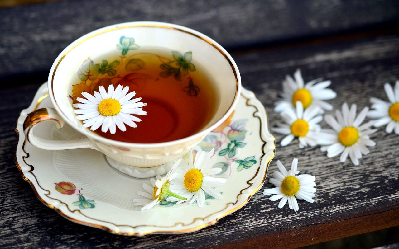 Обои Tea with daisies 1280x800