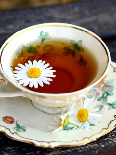 Tea with daisies wallpaper 240x320