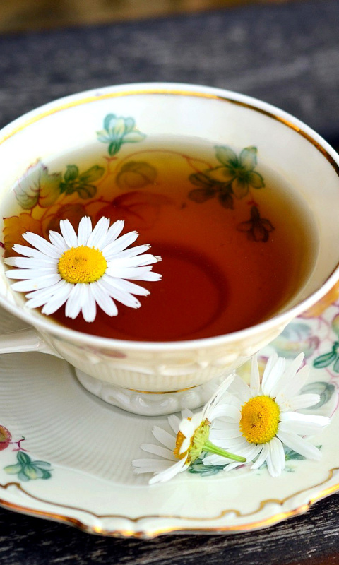 Tea with daisies wallpaper 480x800