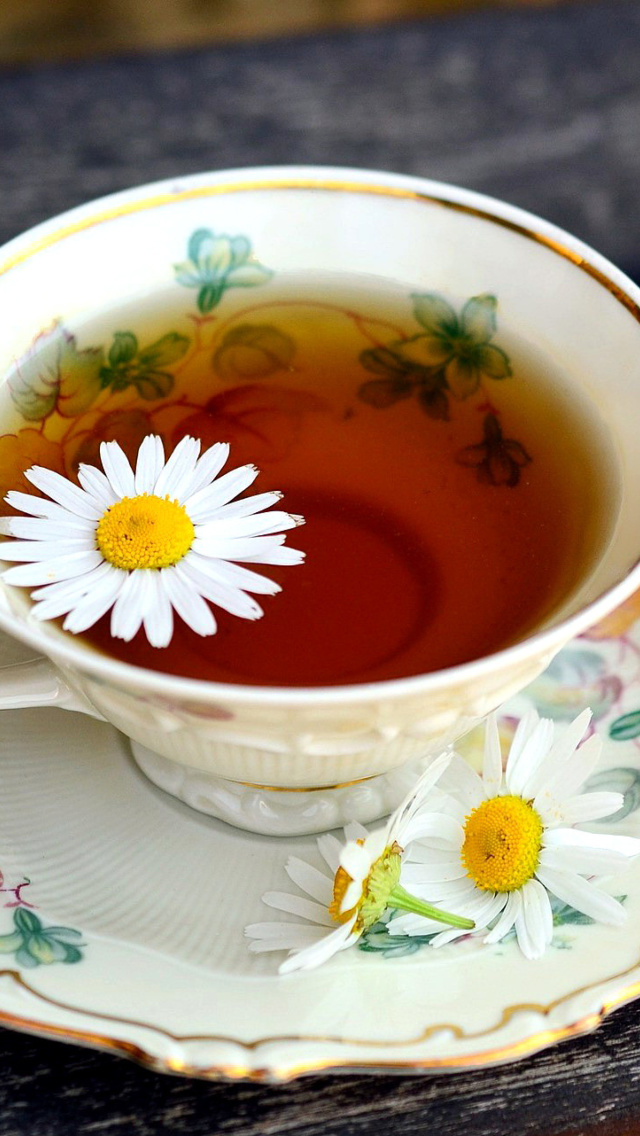 Обои Tea with daisies 640x1136