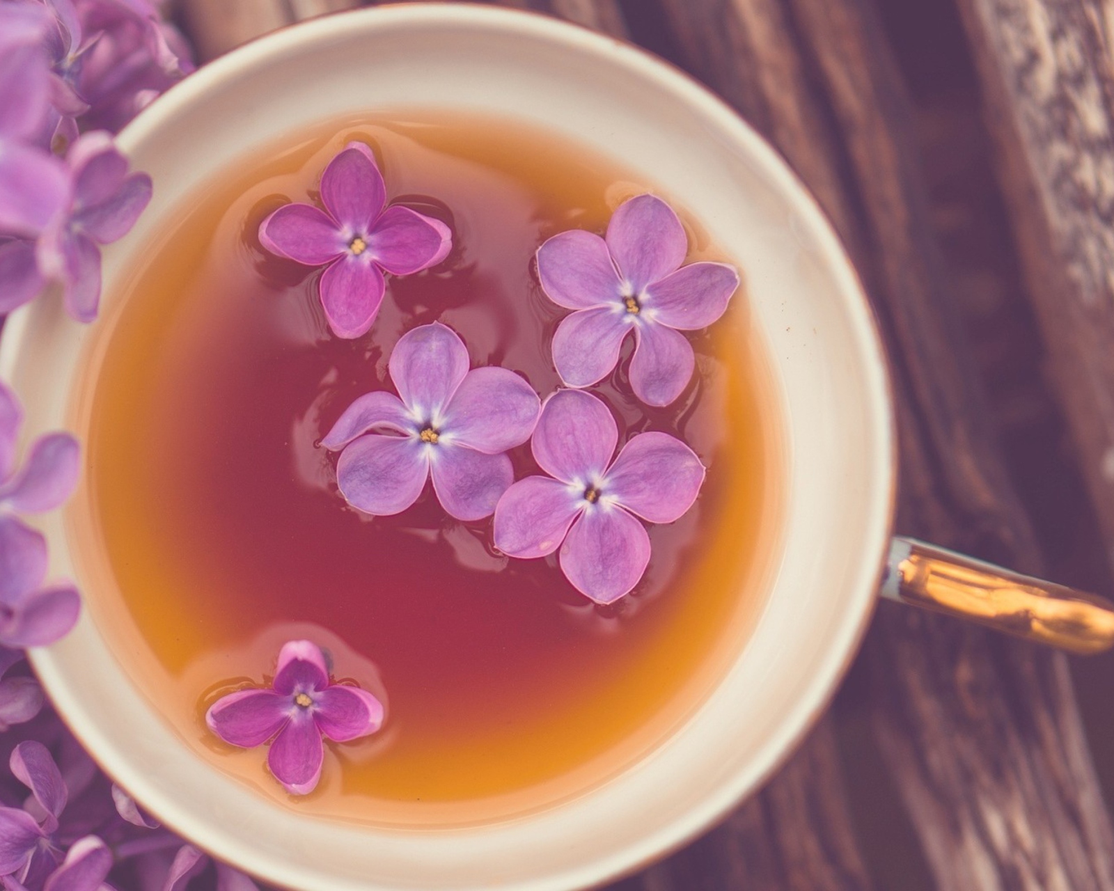 Das Cup Of Tea And Lilac Flowers Wallpaper 1600x1280