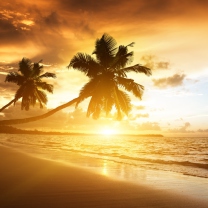 Caribbean Landscape screenshot #1 208x208