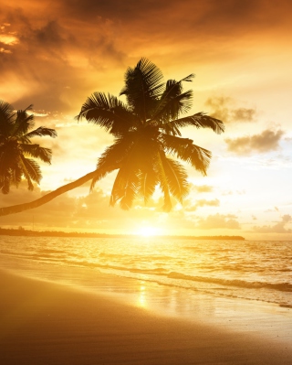 Caribbean Landscape - Obrázkek zdarma pro Nokia 5800 XpressMusic