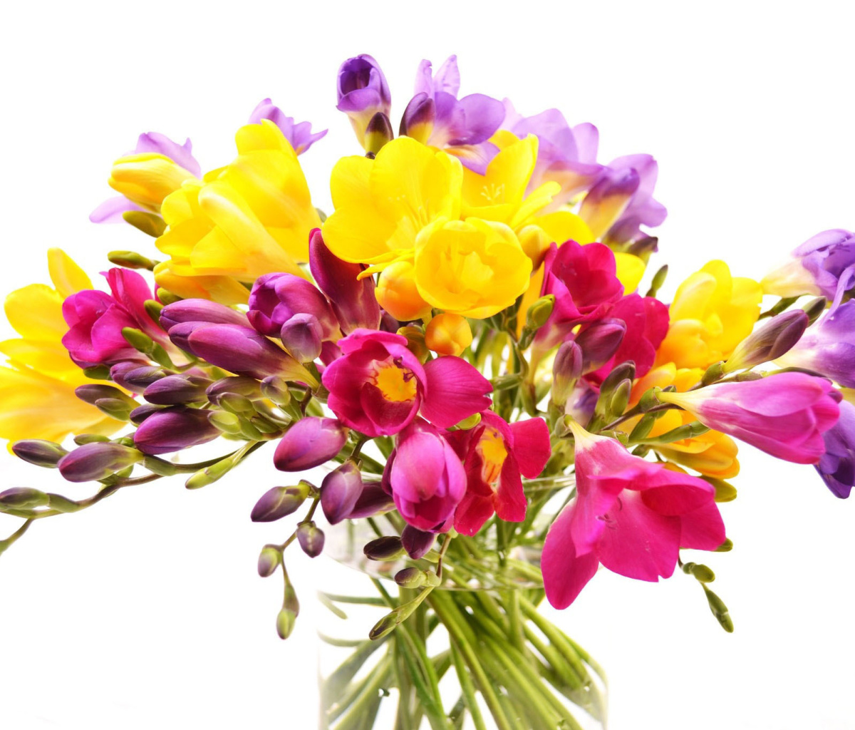 Screenshot №1 pro téma Summer Flowers Bouquet 1200x1024