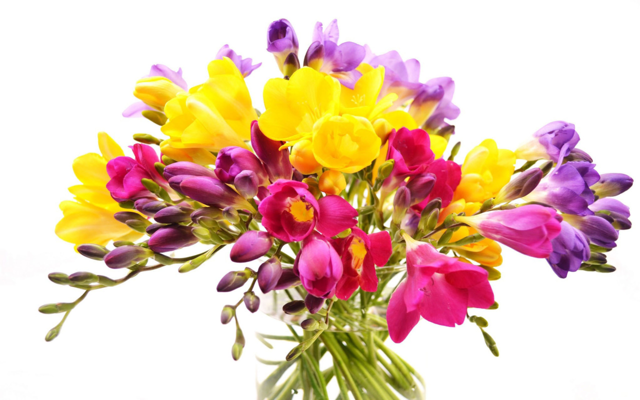 Screenshot №1 pro téma Summer Flowers Bouquet 1280x800
