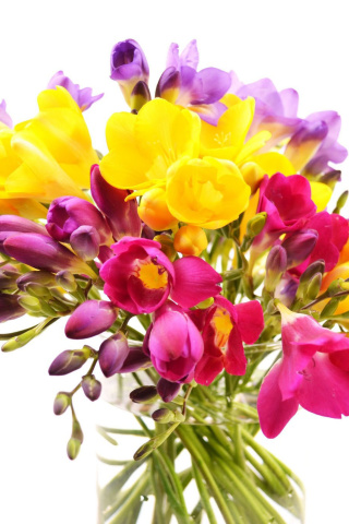 Screenshot №1 pro téma Summer Flowers Bouquet 320x480