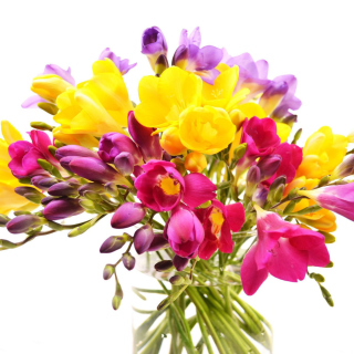 Summer Flowers Bouquet sfondi gratuiti per 208x208