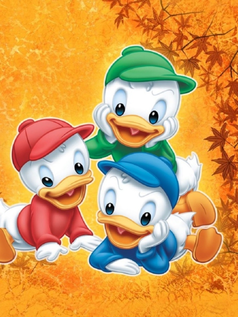 Das DuckTales Wallpaper 480x640