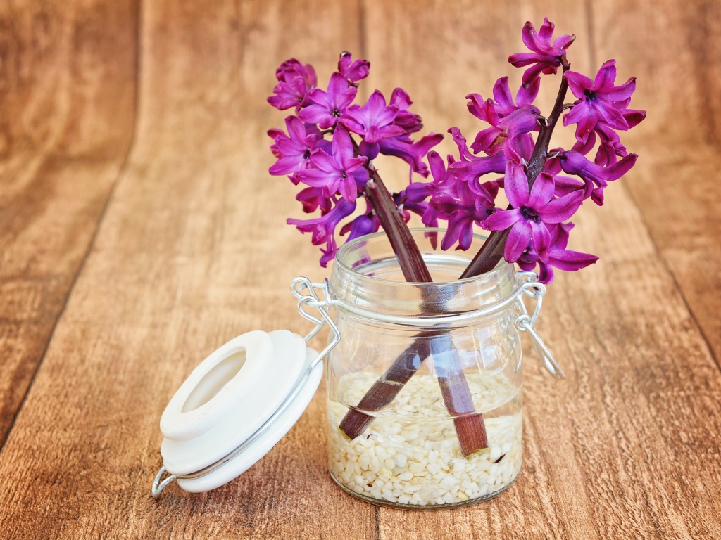 Flower petals in jar wallpaper 1024x768