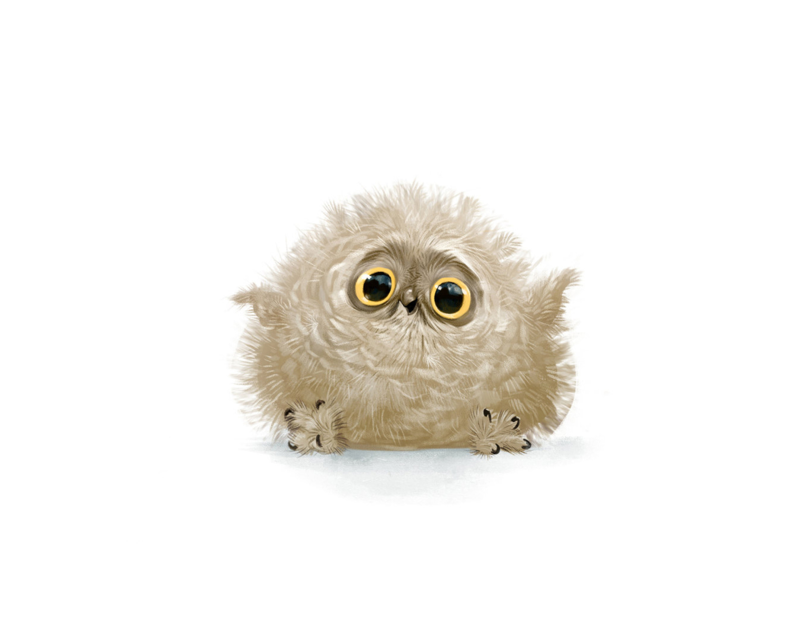 Screenshot №1 pro téma Funny Owl Illustration 1600x1280