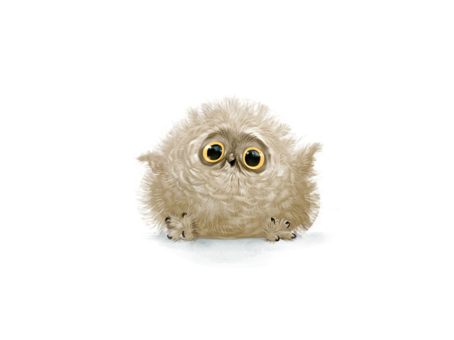 Fondo de pantalla Funny Owl Illustration 640x480