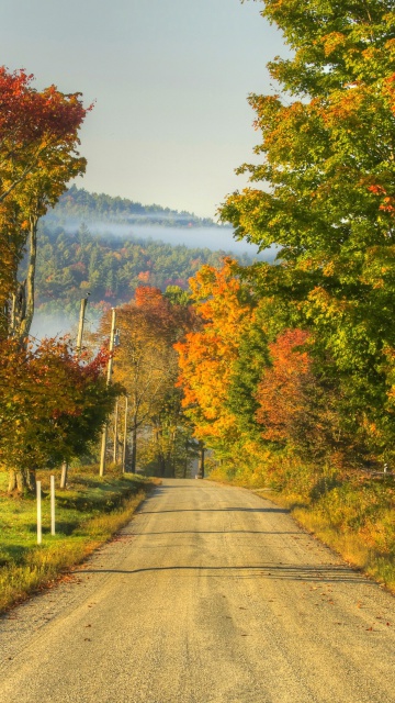 Sfondi Autumn Landscape 360x640