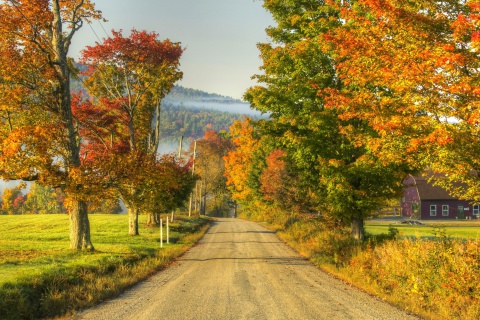 Screenshot №1 pro téma Autumn Landscape 480x320