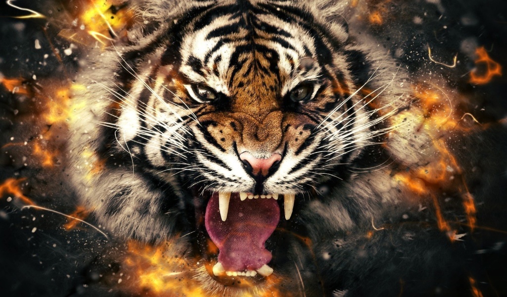 Fondo de pantalla Fire Tiger 1024x600