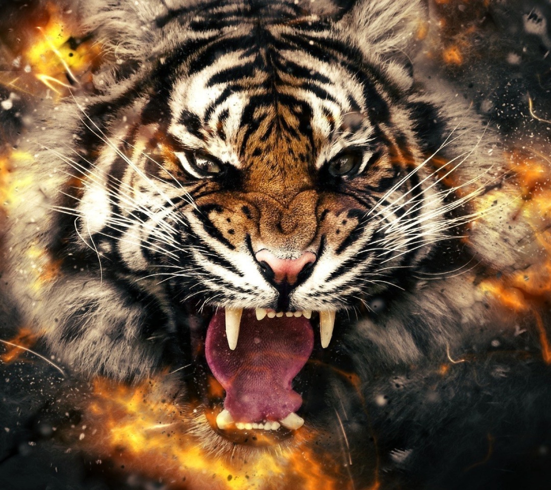 Das Fire Tiger Wallpaper 1080x960