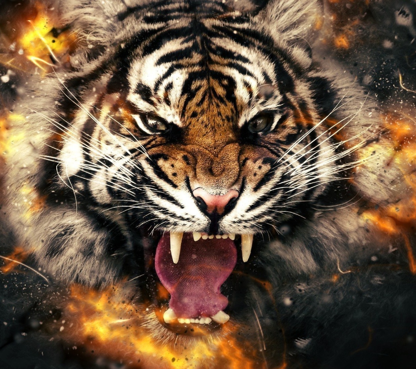 Fondo de pantalla Fire Tiger 1440x1280