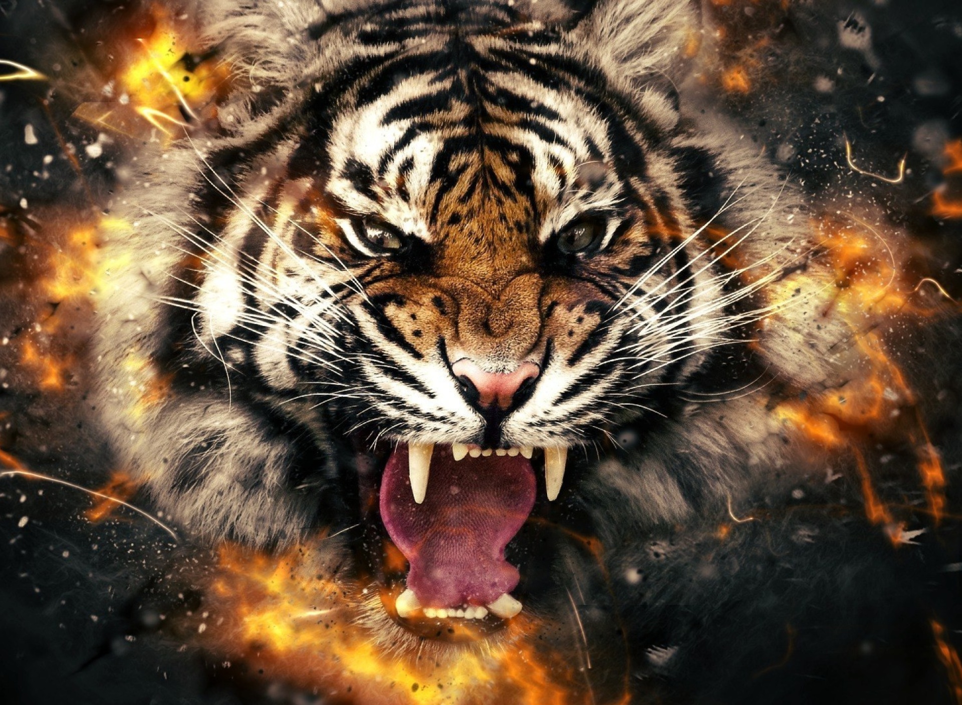 Fondo de pantalla Fire Tiger 1920x1408