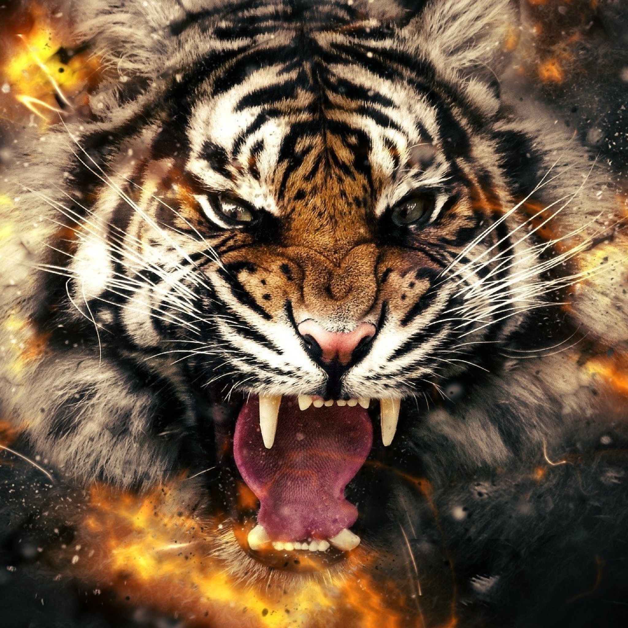 Fondo de pantalla Fire Tiger 2048x2048