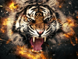 Fondo de pantalla Fire Tiger 320x240