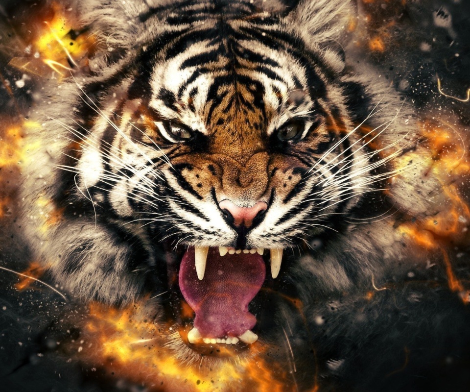 Fondo de pantalla Fire Tiger 960x800