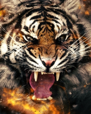 Kostenloses Fire Tiger Wallpaper für 480x800