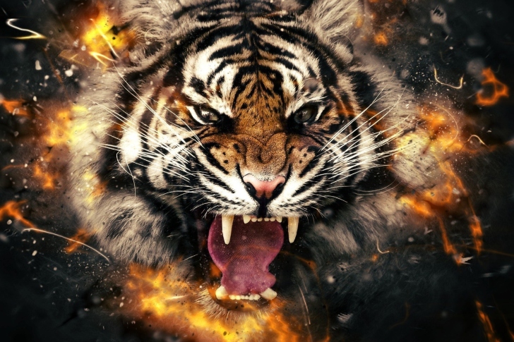 Fondo de pantalla Fire Tiger