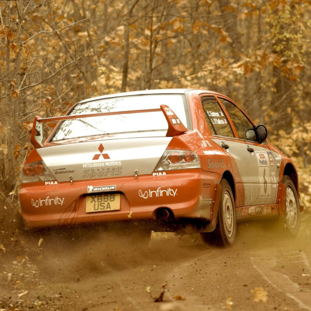 Screenshot №1 pro téma Mitsubishi Rally Car 1024x1024