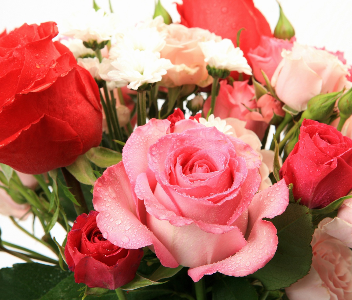 Screenshot №1 pro téma Bouquet of roses for Princess 1200x1024
