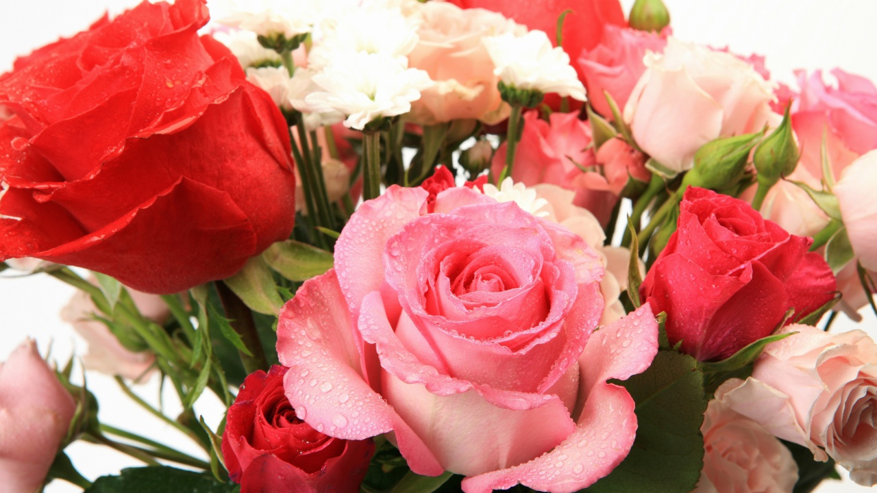 Das Bouquet of roses for Princess Wallpaper 1280x720
