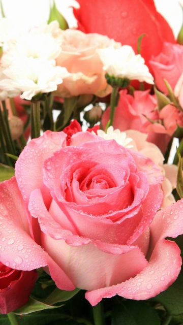 Bouquet of roses for Princess screenshot #1 360x640