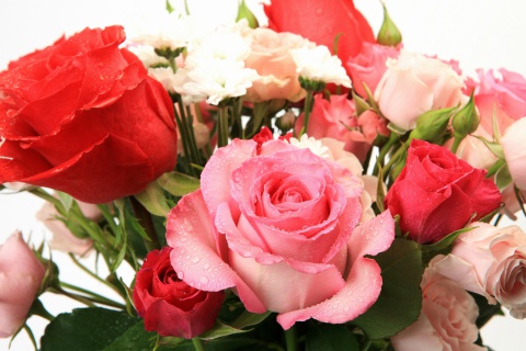 Screenshot №1 pro téma Bouquet of roses for Princess 480x320