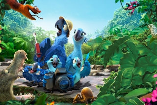 2014 Rio 2 Movie - Obrázkek zdarma pro Android 480x800