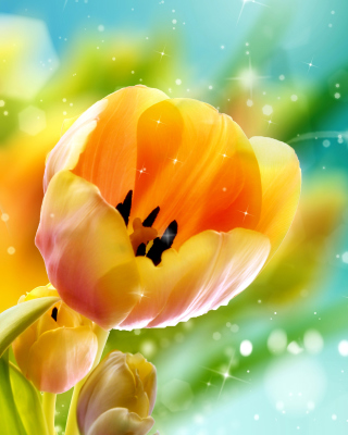 Bokeh Tulip - Obrázkek zdarma pro iPhone 4S