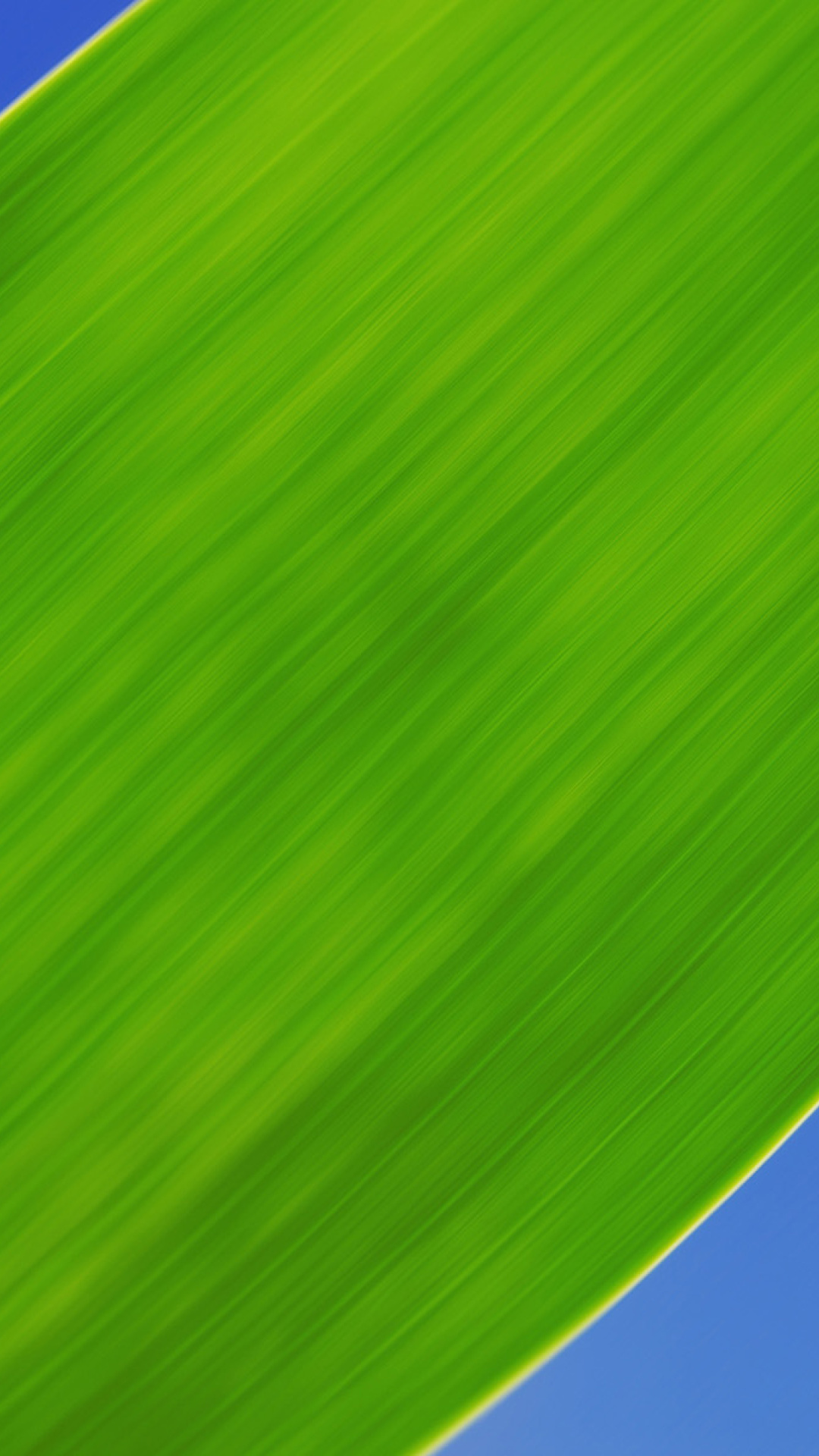 Обои Green Grass Close Up 1080x1920