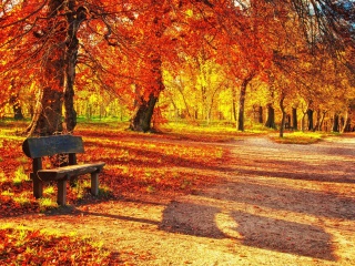 Autumn Park screenshot #1 320x240