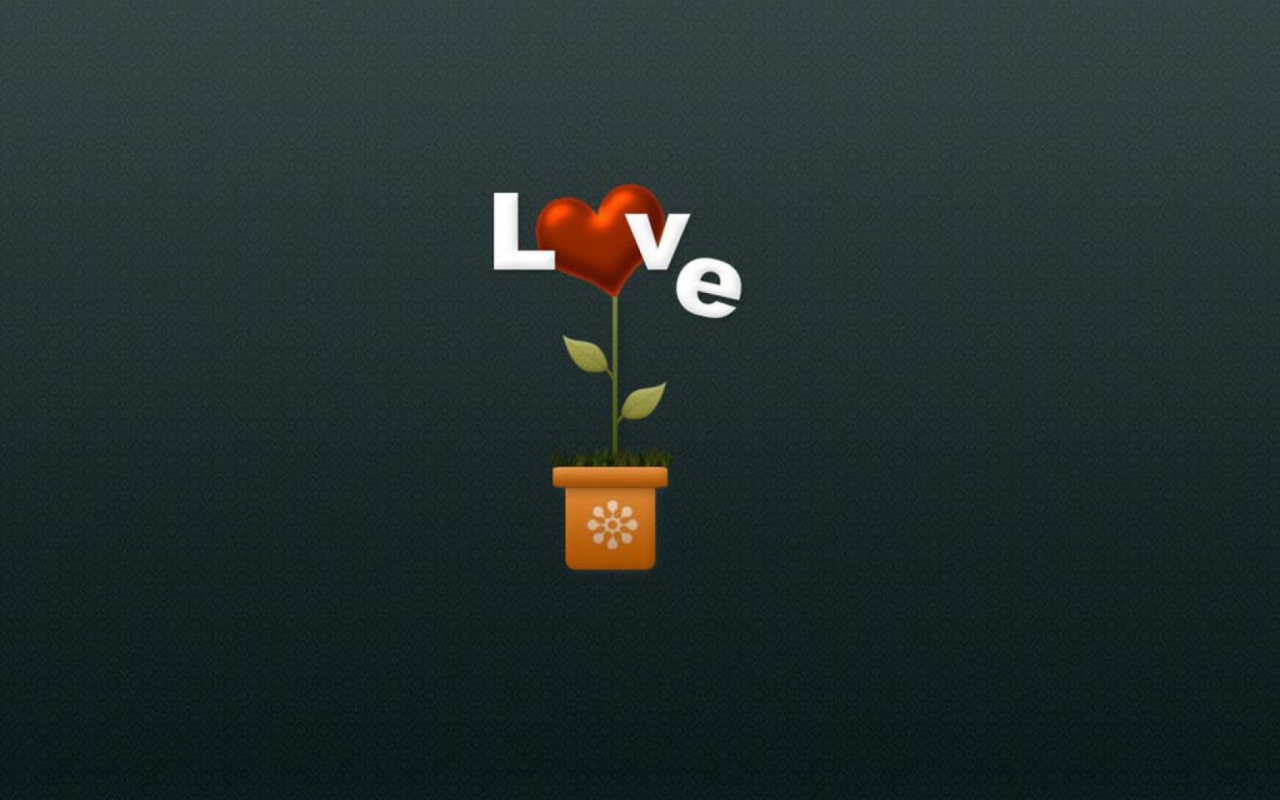 Screenshot №1 pro téma Flower Of Love 1280x800