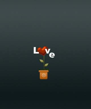 Flower Of Love sfondi gratuiti per Nokia Asha 306