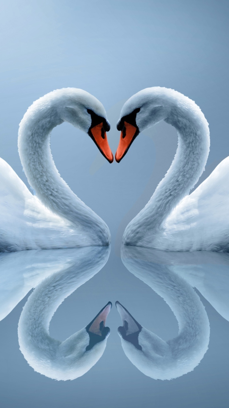 Fondo de pantalla Swans Couple 750x1334