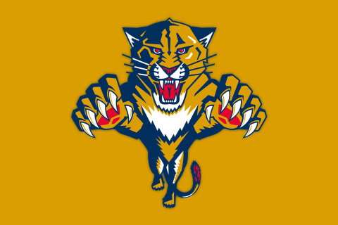 Fondo de pantalla Florida Panthers Logo 480x320