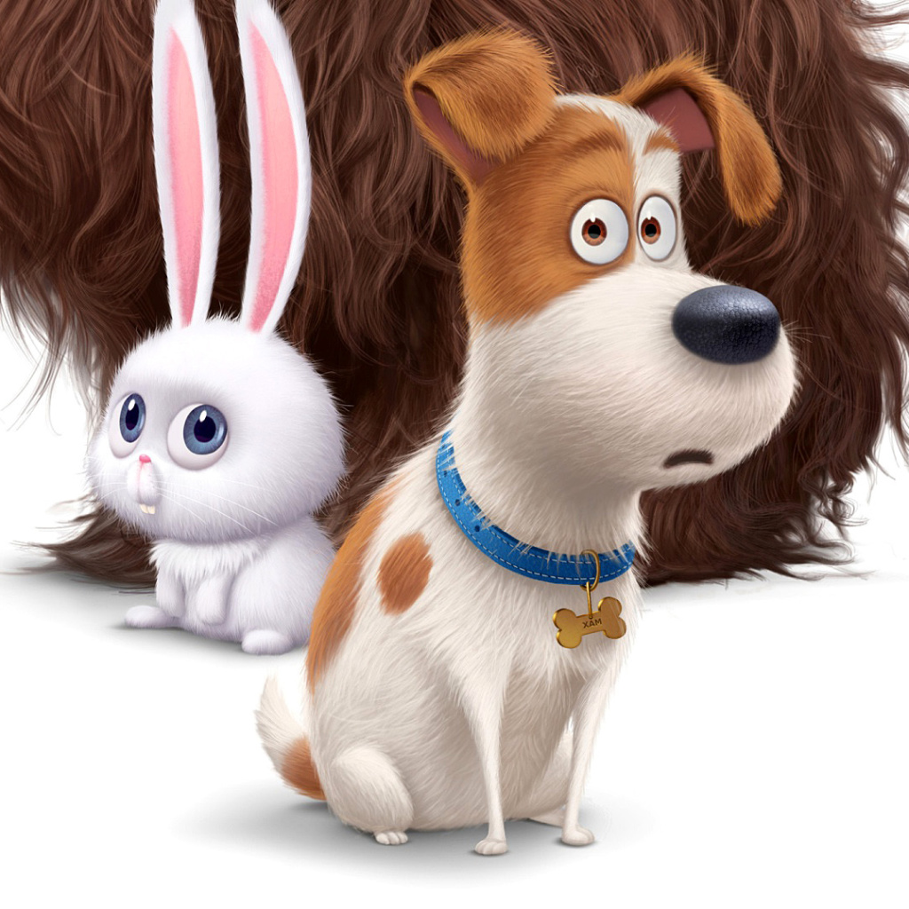 Screenshot №1 pro téma The Secret Life of Pets Movie 2016 1024x1024