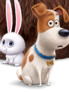 Обои The Secret Life of Pets Movie 2016 240x320