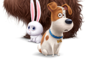 The Secret Life of Pets Movie 2016 - Obrázkek zdarma pro Sony Xperia Z