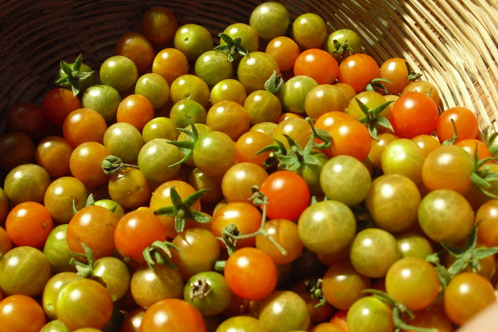 Fondo de pantalla Tomatoes