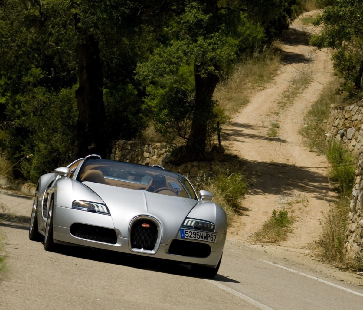 Sfondi Bugatti Veyron 16.4 Grand Sport 1200x1024
